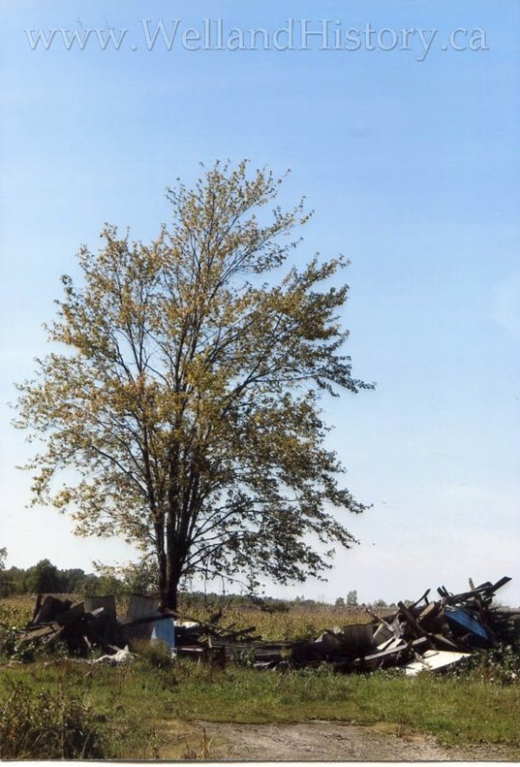 image Barns fallen barn Chippawa Rd and Forkes Rd E near Bethel September 24 2015--401.jpg