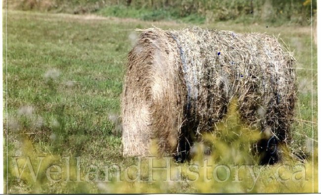 image Barns hay bale Post Road near Lindsay August 30 2017--954.jpg