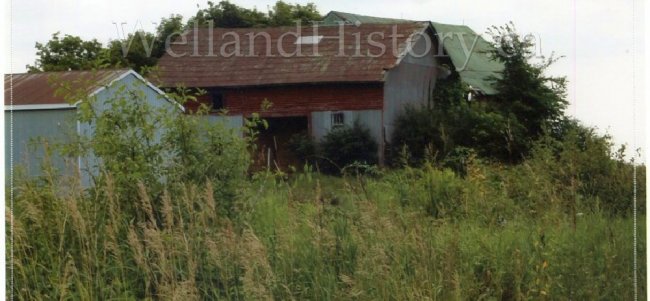 image Barns near 833 Salem Road Prince Edward County August 2018--741.jpg