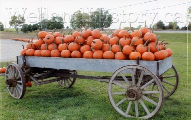 image Barns pumpkins Hwy 28 near Lakefield Sept 28 2017--107.jpg