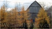 image Barns 1299 Brock Road near Mountain Grove November 8 2017--496.jpg