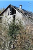 image Barns 1501 County Road 1 near Strathcona October 18 2017--184.jpg