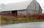 image Barns 2441 County Road 44 near Havelock Oct 11 2017--099.jpg