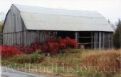 image Barns 2441 County Road 44 near Havelock Oct 11 2017--100.jpg