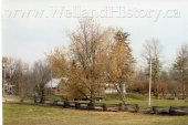 image Barns 299 Ray Rd near Ivanhoe November 8 2016--849.jpg