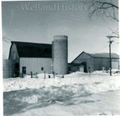 image Barns Earl Misener farm Boyle Road at Robins bridge Fenwick Jaanuary 1963--590.jpg