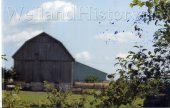 image Barns across from 1461 Post Road near Lindsay August 30 2017--960.jpg
