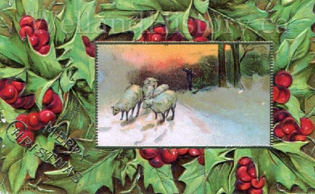 image Christmas 1909-581.jpg