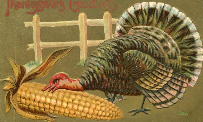 image Thanksgiving 1910--775.jpg