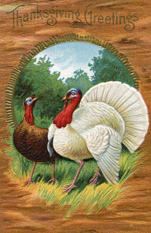 image Thanksgiving Early 1900s--813.jpg