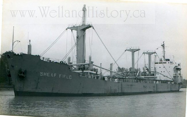 image Ship  Sheaf Field-944.jpg